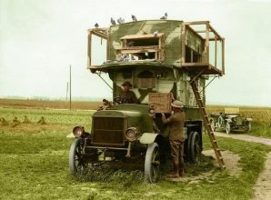 Голубиная почта